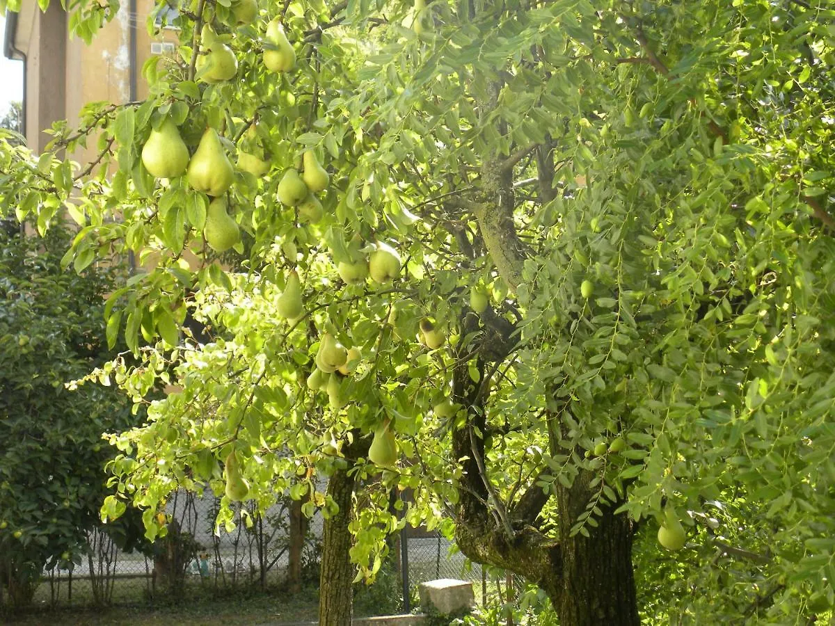 Beautiful Venice B&B Mestre Italia